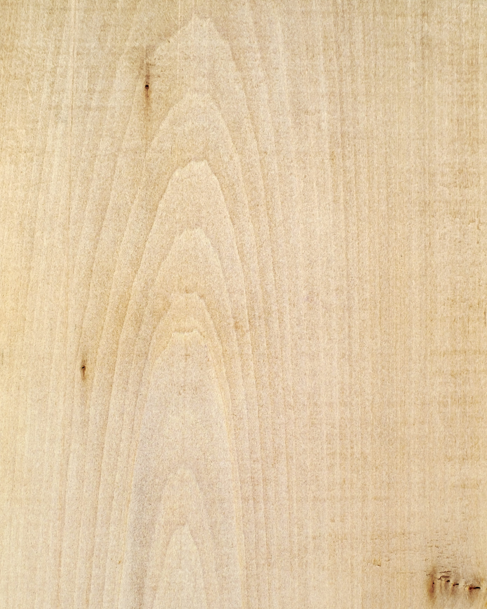Lindenbaum / Lindenholz / Linde