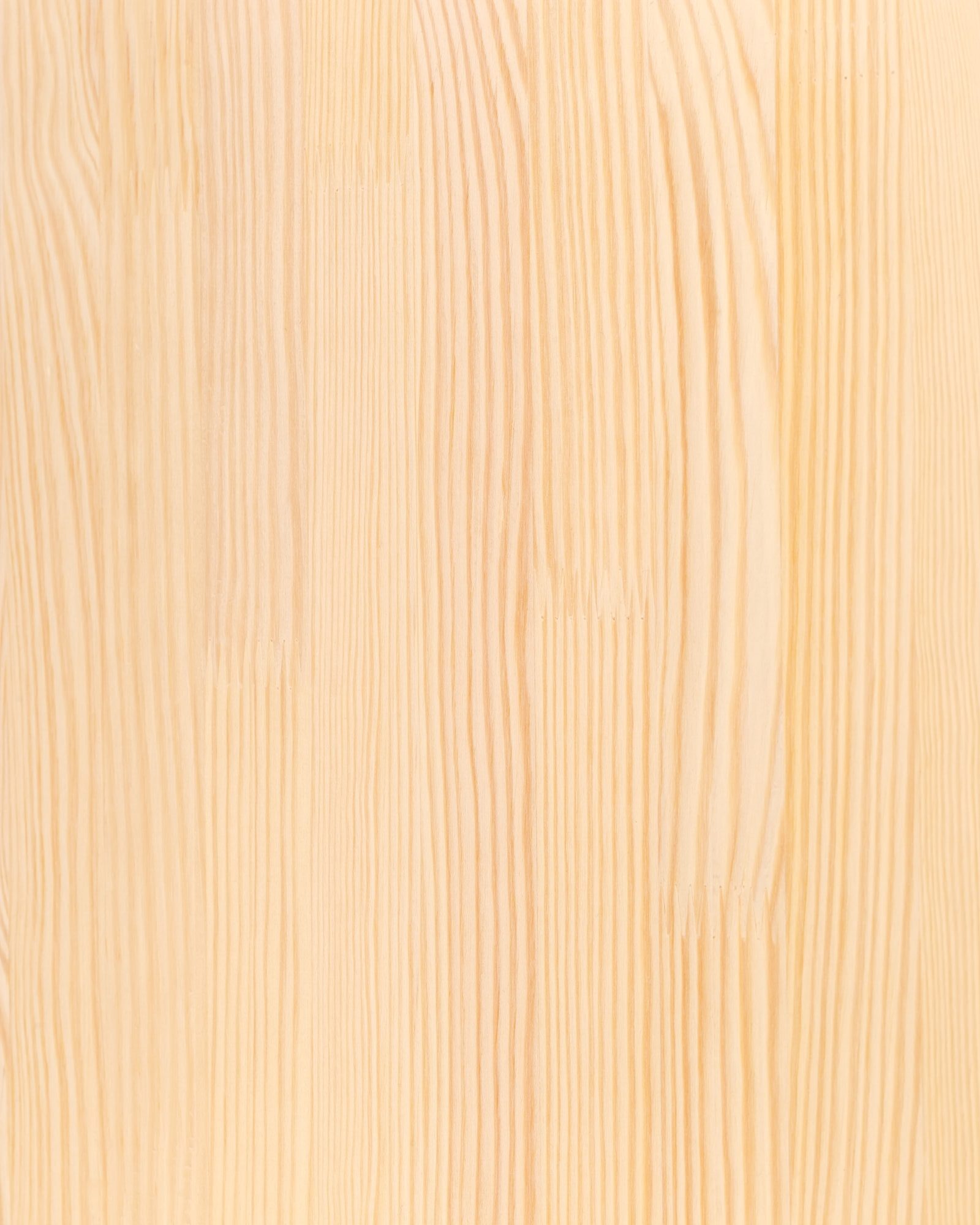 Kiefernbaum / Kiefernholz / Kiefer